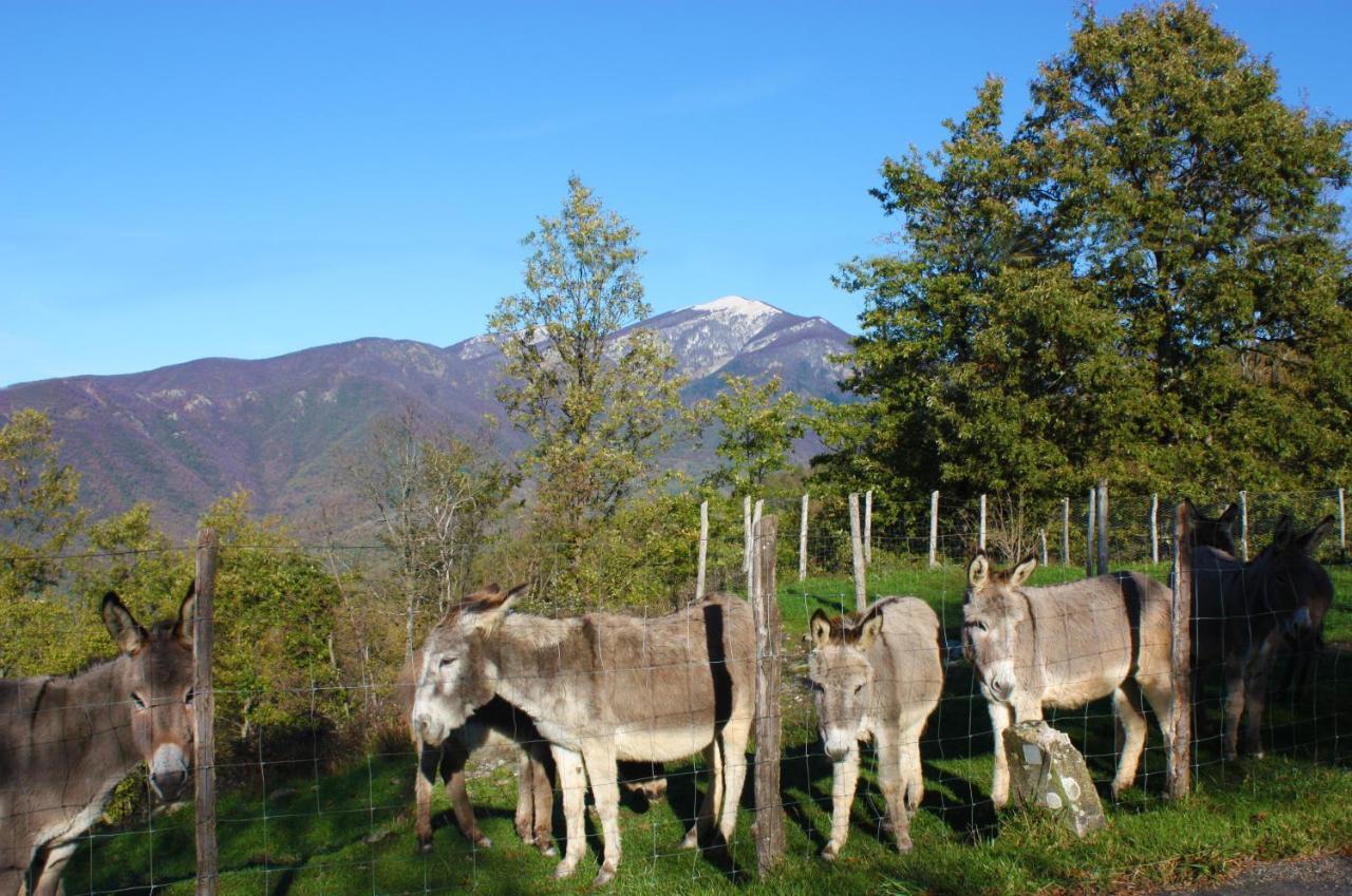 Terra Del Bosco Agriturismo Sesta Godano Exterior photo